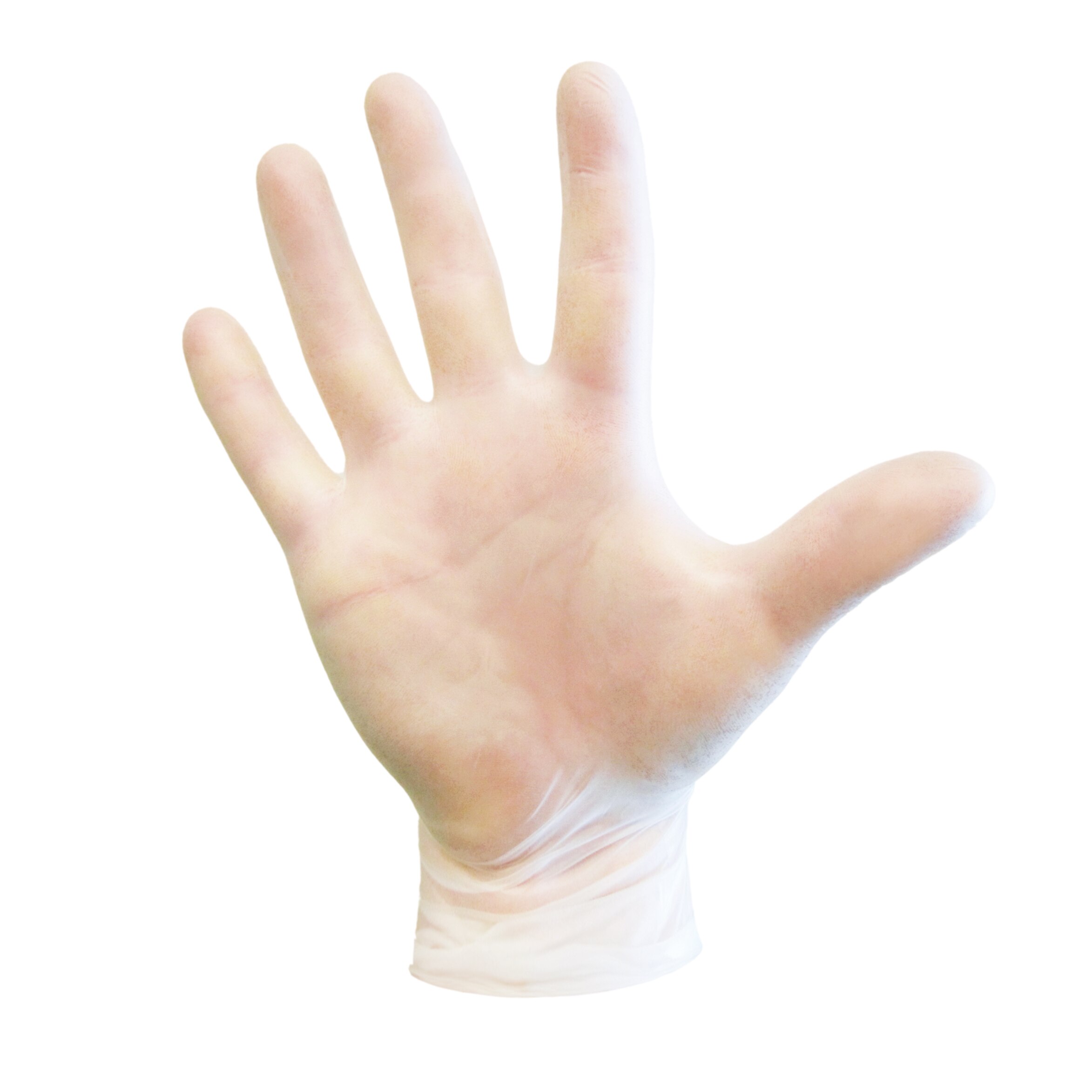 VitalGard® Vinyl PF Exam Gloves | Clear, Latex-Free & Powder-Free